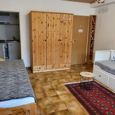 Apartment Betzenberg, Nur Netflix Kaiserslautern Bagian luar foto